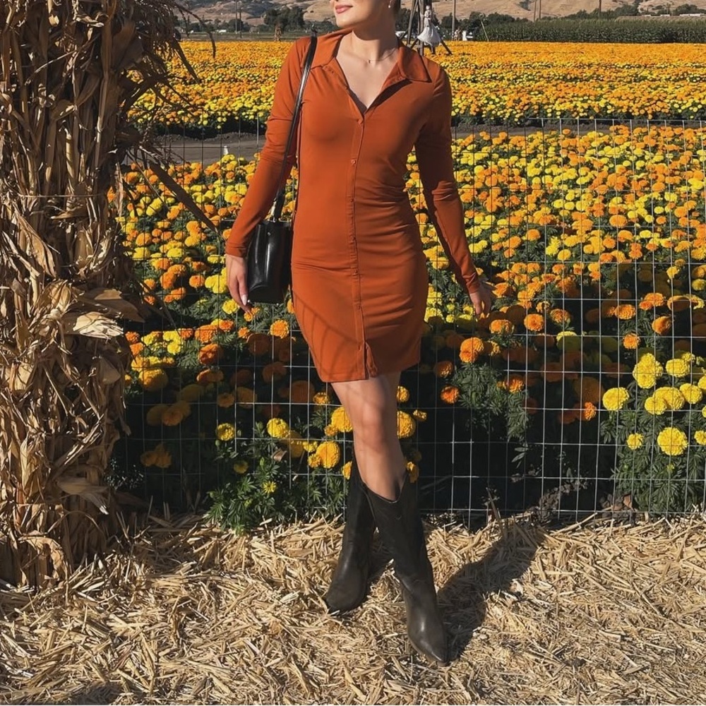 Abercrombie & Fitch- Rust Orange Long Sleeve Dress
Size: medium tall